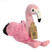 Buy Flamingo 24cm