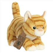 Buy Orange Tabby Cat 21cm