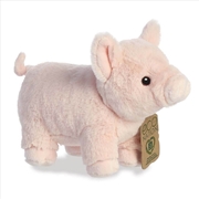 Buy Pig 24cm