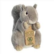 Buy Squirrel 20cm