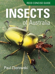 Buy Reed Concise Guide to Insects of Australia