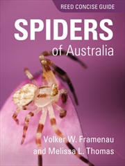 Buy Spiders of Australia : Reed Concise Guide