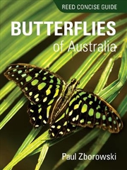 Buy Reed Concise Guide -Butterflies Of Australia