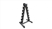 Buy Steel Vertical Dumbbell Rack Weight Stand