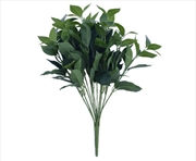 Buy Bayleaf Foliage Bunch 45cm