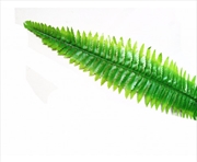 Buy Boston Hanging Fern 102cm