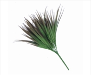 Buy Brown Tipped Grass Plant 35cm