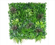 Buy Coastal Greenery Vertical Garden / Green Wall UV Resistant 100cm x 100cm