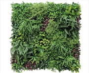 Buy Country Fern Vertical Garden Green Wall UV Resistant 100cm x 100cm