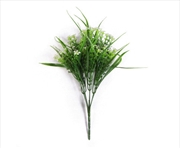 Buy Daisy Grass Stem Uv 30cm