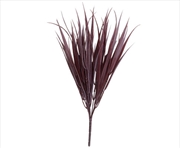 Buy Dark Red Grass Stem 35cm Long