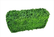 Buy Deluxe Portable Buxus Bright UV Resistant 100cm Long x 50cm High x 25cm Wide