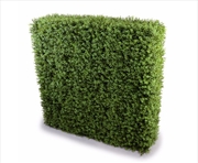 Buy Deluxe Portable Buxus Hedges UV Stabilised 100cm Long X 100cm High