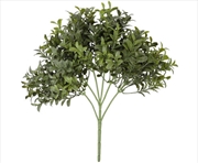 Buy Dense Buxus Foliage 30cm UV Resistant