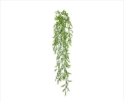 Buy Dense Hanging Evergreen Plant UV Resistant 80cm