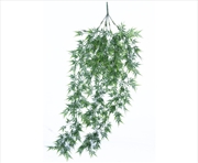 Buy Dense Trailing Greenery 90 Cm