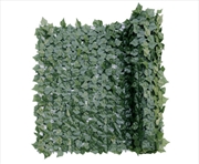 Buy Double Sided Ivy Rolls 3m X 1m