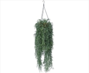 Buy English Hanging Basket 110 Cm