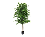 Buy Ficus Tree 180cm Nearly Natural UV Resistant