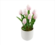 Buy Flowering Pink Tulip Plant Arrangement With Ceramic Bowl 35cm