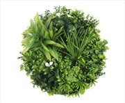 Buy Flowering White Disc UV Resistant 50cm (White Frame)