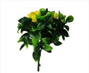 Buy Flowering Yellow Rose Stem UV Resistant 30cm