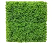 Buy Fresh Natural Green Moss / UV Resistant 1m x 1m