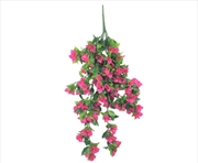 Buy Hanging Bougainvillea Plant (Pink / Lilac) UV Resistant 90cm