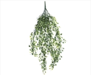 Buy Hanging Plant Heart Leaf Uv Resistant 90cm