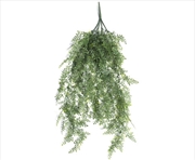 Buy Hanging Plant Maiden Hair Fern UV Resistant 90cm