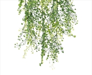 Buy Hanging Plant Mixed Green String of Pearls UV Resistant 90cm