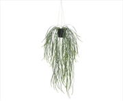 Buy Hanging Potted Plant Willow Leaf 66cm UV Resistant