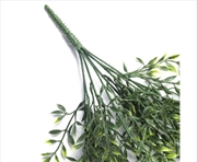 Buy Hanging Ruscus Leaf Plant UV Resistant 90cm