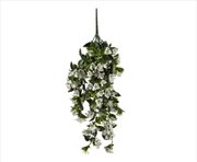 Buy Hanging White Bougainvillea Plant UV Resistant 90cm