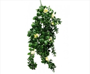 Buy Hanging White Rose Stem Uv 85cm