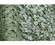 Buy Ivy Leaf Hedging 3m X 1m Roll