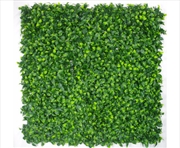 Buy Jasmine Leaf Screens / Panels UV Stabilised 1m X 1m