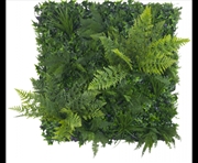 Buy Jungle Fern Vertical Garden / Green Wall UV Resistant 1m x 1m