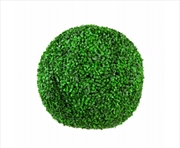 Buy Large Box Wood Topiary Ball - 48cm UV Stabilised