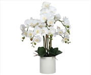 Buy Large Multi-Stem White Potted Faux Orchid 65cm