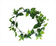 Buy Long Philodendron Garland 190cm