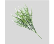 Buy Long Stem White Lavender 50cm UV Resistant