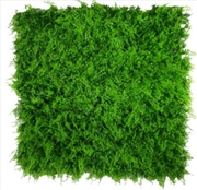 Buy Mediterranean Fern Vertical Garden UV Stabilised 1m X 1m