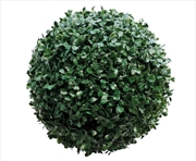 Buy Medium Boxwood Topiary Ball UV Resistant 28cm