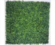 Buy Mixed Boxwood Hedge Panels / Screens UV Resistant 1m x 1m