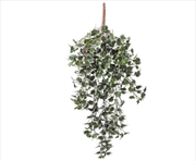 Buy Mixed Green And White Tipped Ivy Bush 80cm UV Resistant