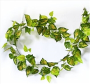 Buy Mixed Yellow And Red Pothos Garland 190cm