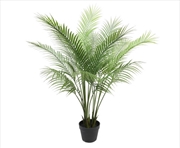 Buy Modern Bushy Areca Fern Tree 120cm