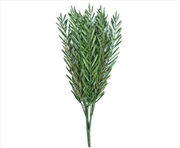 Buy Native Tea Tree Stem UV Resistant 45cm