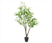 Buy Potted Eucalyptus Tree 120cm